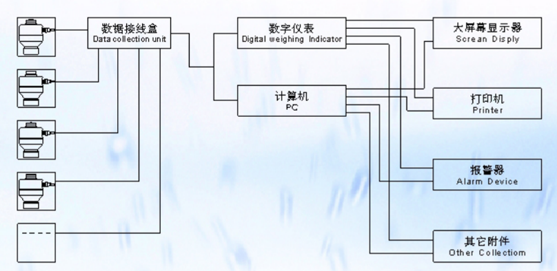 ZSW-D型FB荔枝视频在线观看免费高清视频称重系统示意图