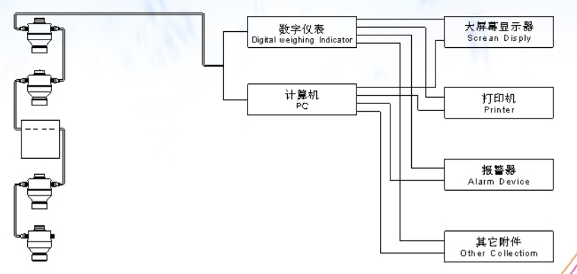 ZSW-D型G荔枝视频在线观看免费高清视频称重系统方案示意图