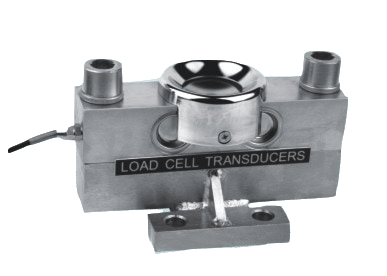 柯力荔枝视频在线观看免费高清视频