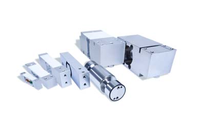 荔枝视频在线观看免费高清视频